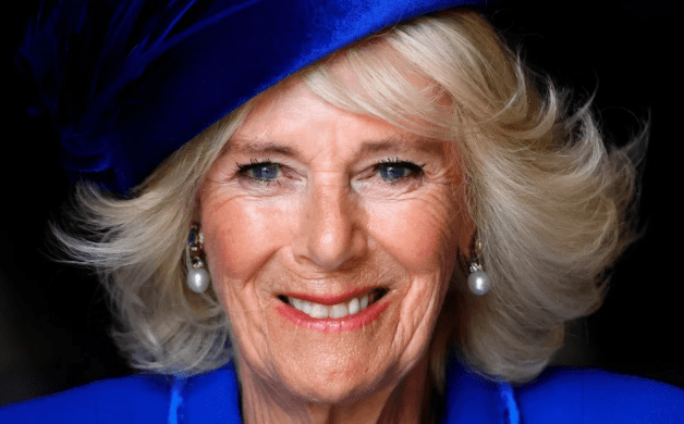 What happens when William becomes King Where does Camilla fit