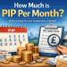 how much is pip per month