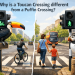 why is a toucan crossing different from a puffin crossing