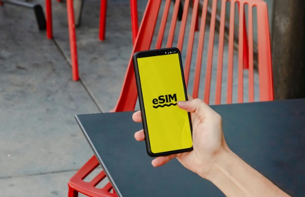 Role of eSIM Disruption