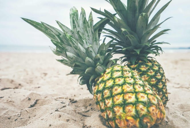 Victorian Pineapple Grown
