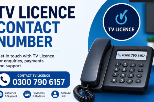 TV licence contact number